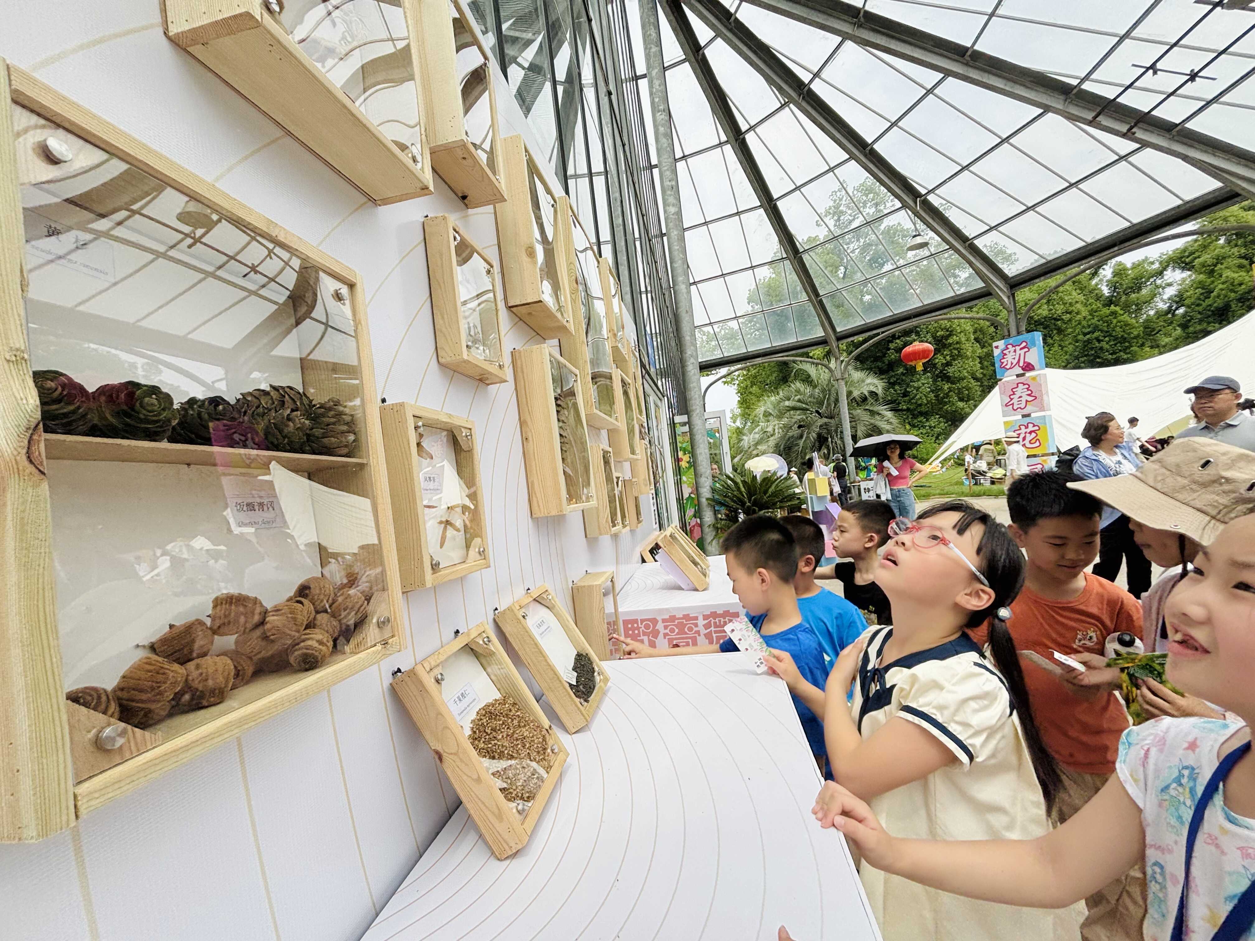 探秘“种子的力量”武汉植物园举办第二十一届公众科学日活动