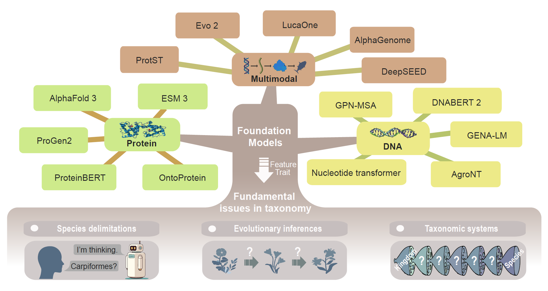 水生所发表综述文章探讨AI驱动的生物分类学
