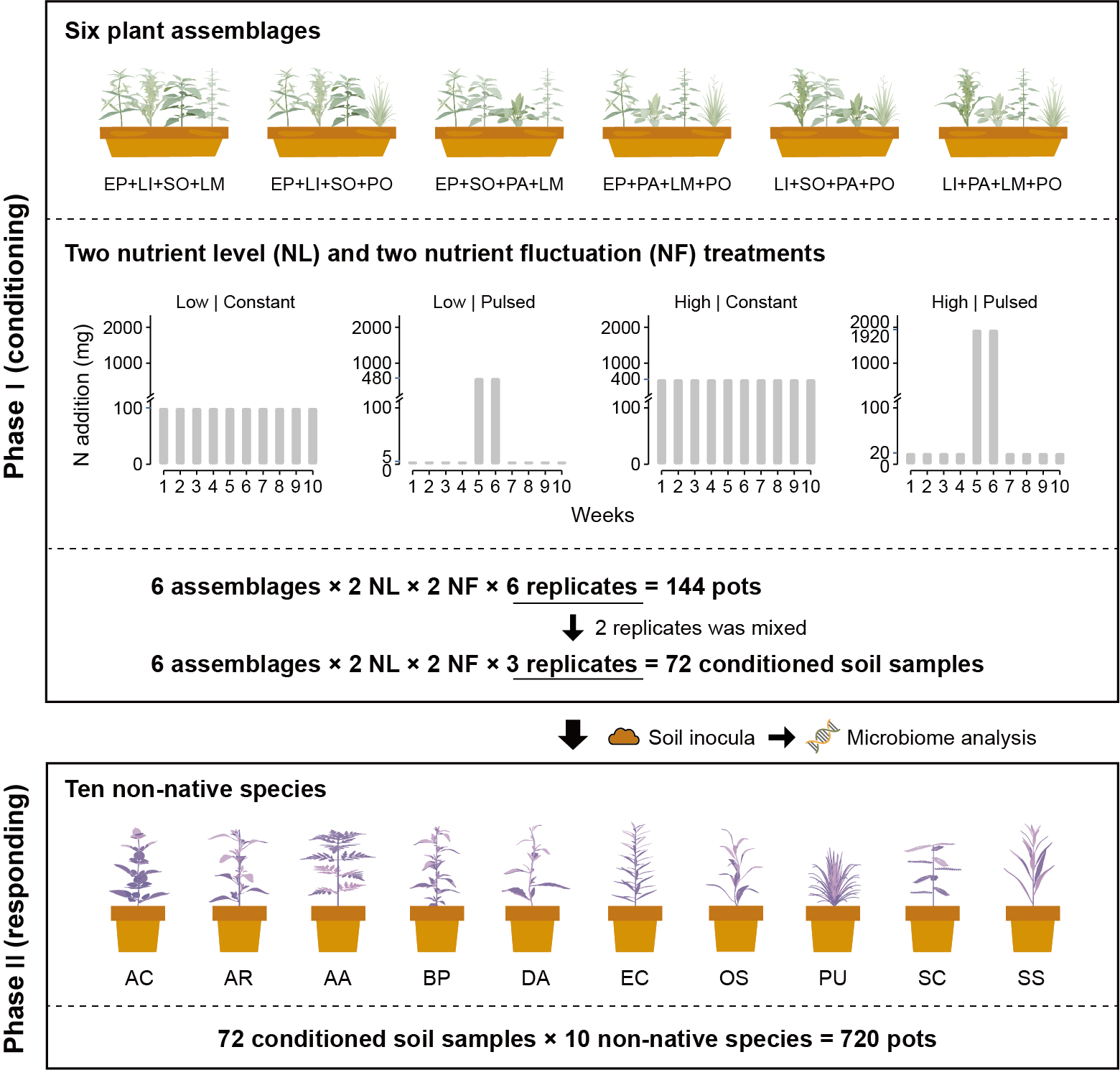 武汉植物园在资源波动调控外来植物入侵机制研究中取得新进展